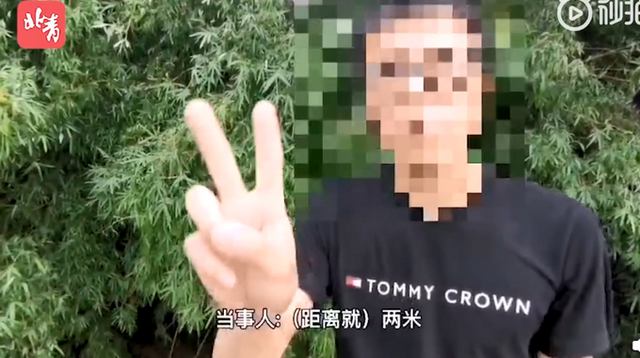 第388页