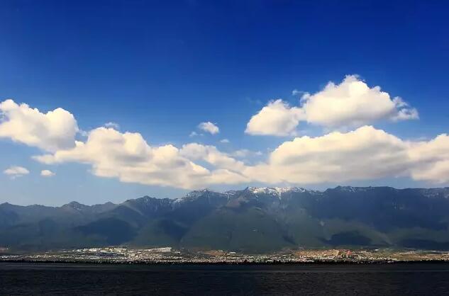 第339页