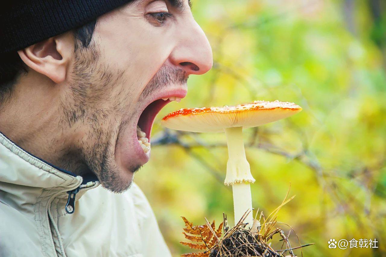 在国外误食毒蘑菇在国外旅行时如何避免误食毒蘑菇，一次惊险的经历与教训